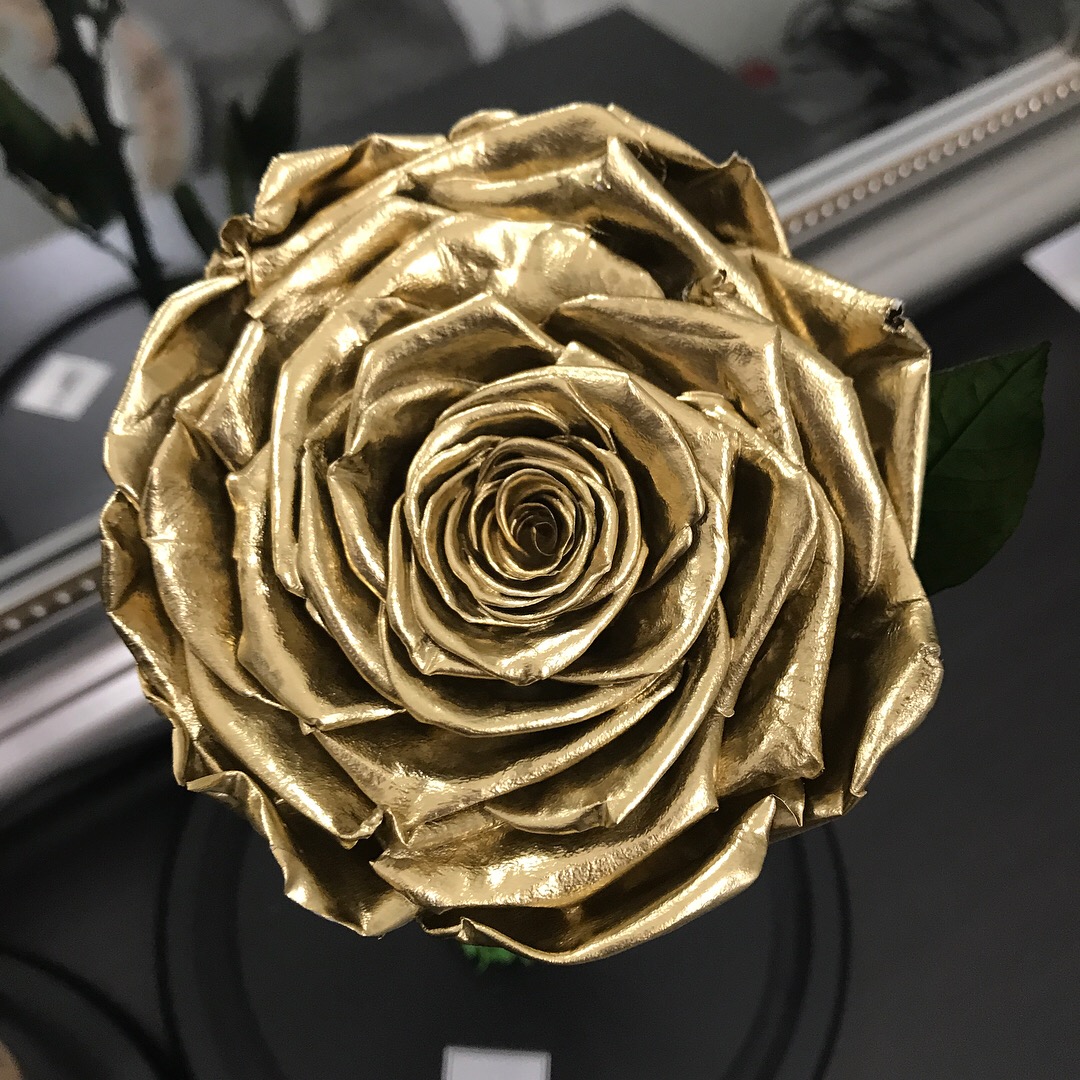 Preserved Rose Gold Rose